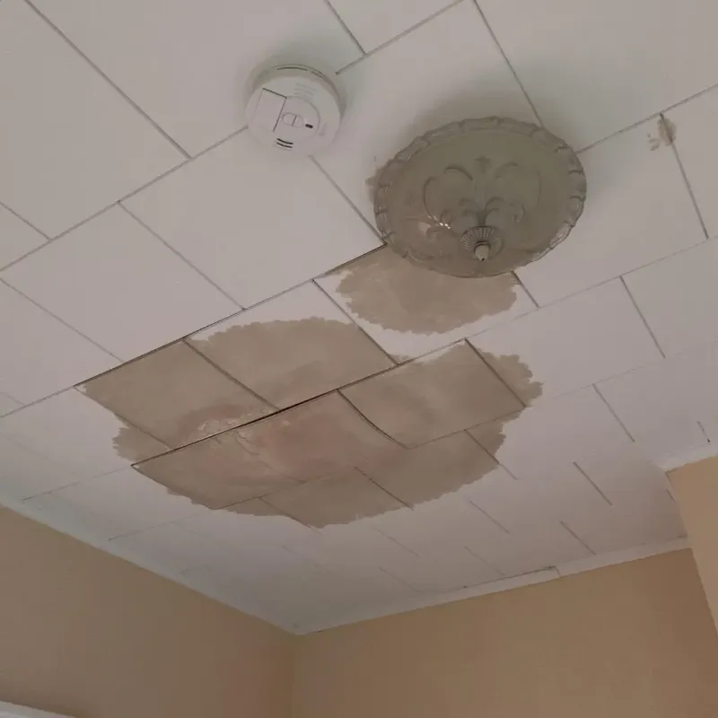Ceiling Water Damage Repair in Vista, CA