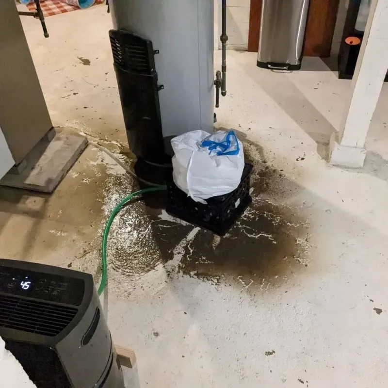 Sewage Backup Cleanup Service in Vista, CA